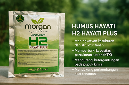 H2+ Hayati Plus (Morgan)