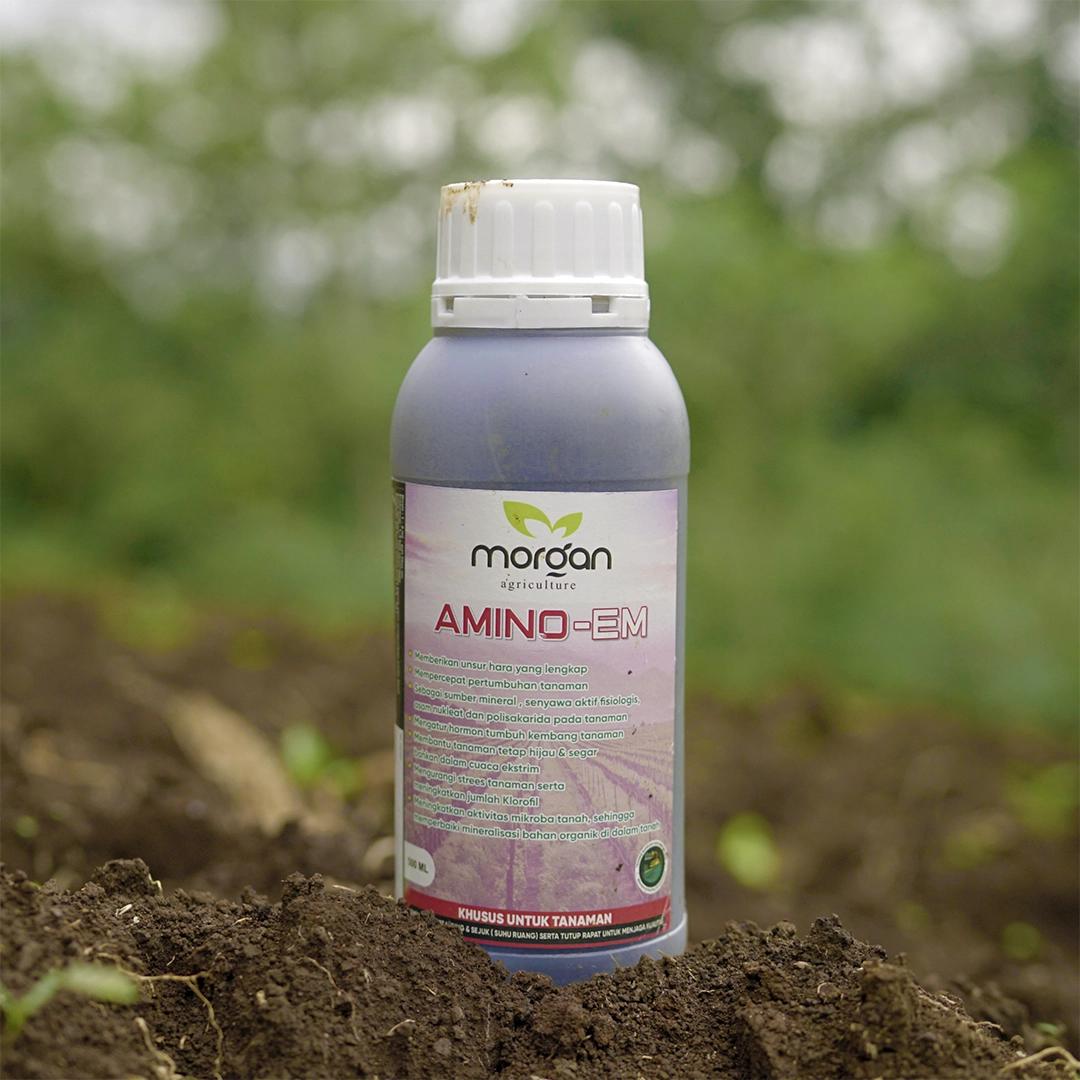 AMINO-EM (Morgan)