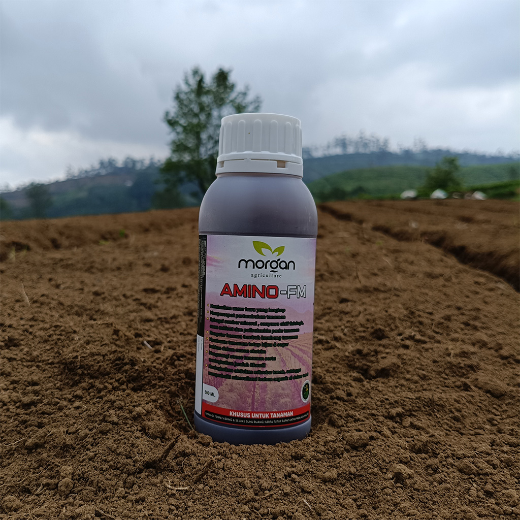 AMINO-FM - Nutrisi Pangan (Morgan)